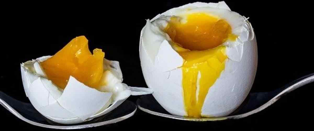 sin or slim eggs keto